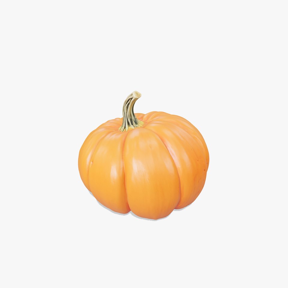 Pumpkin Large Detailed Texture model pack
